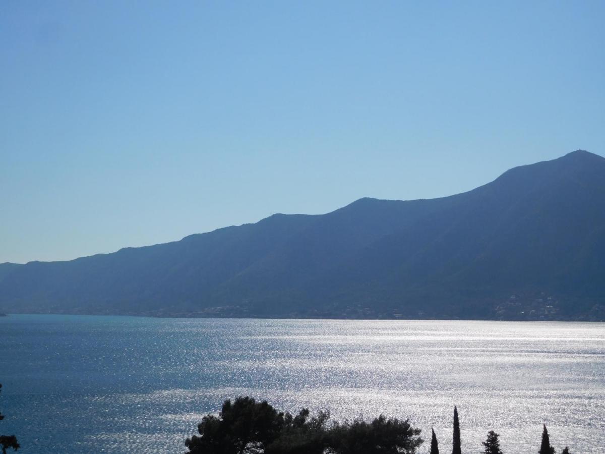 Villa Aronija 科托尔 外观 照片