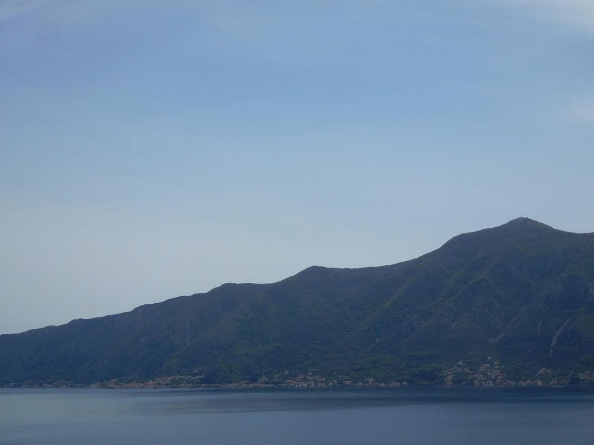 Villa Aronija 科托尔 外观 照片