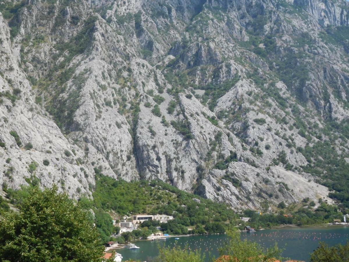 Villa Aronija 科托尔 外观 照片